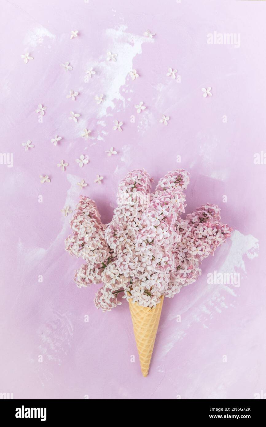 Cono waffle con lilla rosa pallido su fondo rosa, verticale con spazio copia Foto Stock