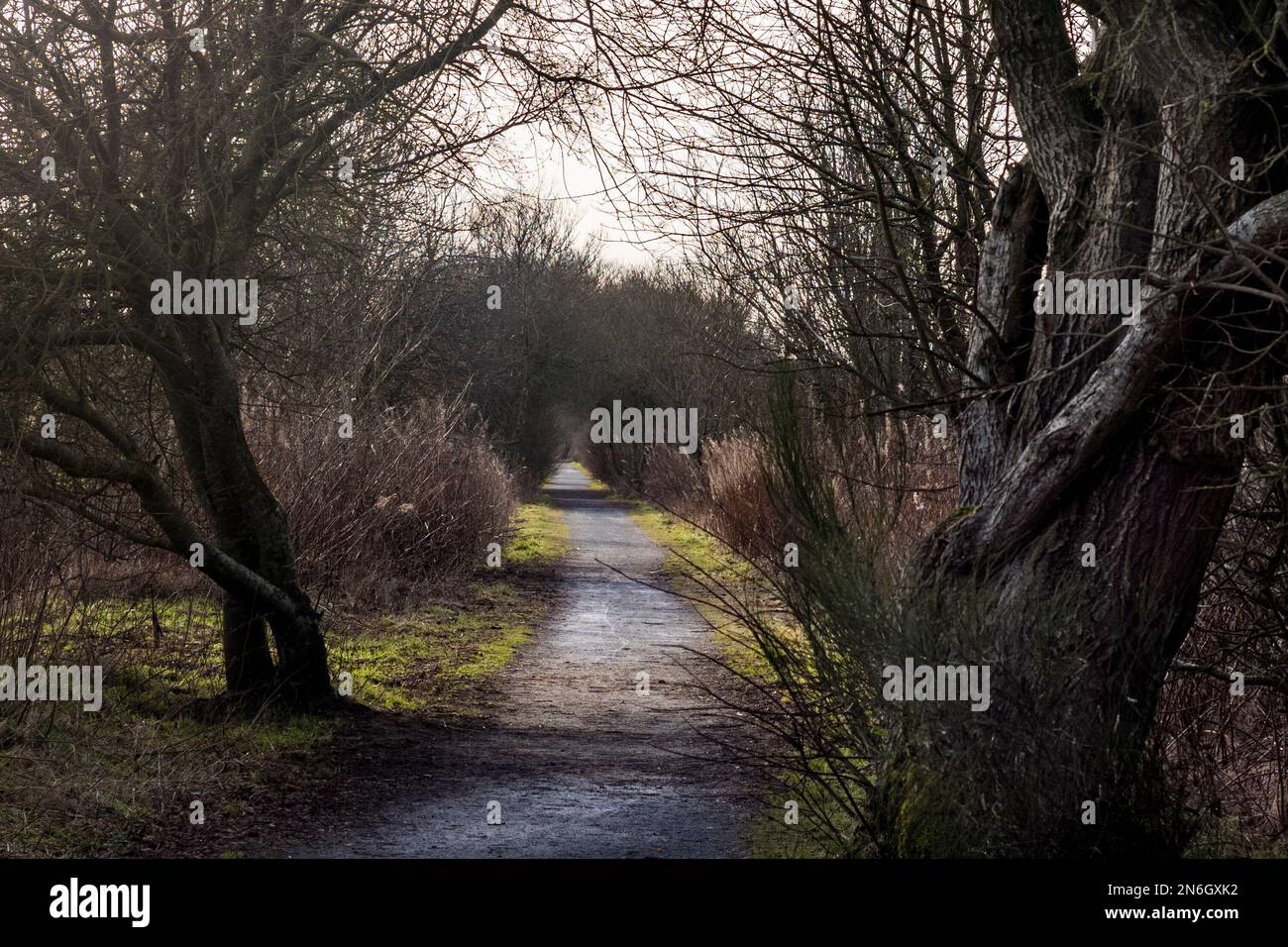 Formatine e Buchan Way vicino al villaggio di Maud, Aberdeenshire Foto Stock