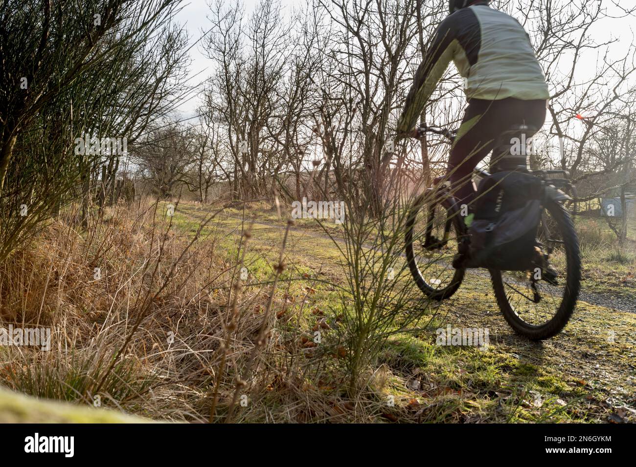 Un ciclista sulla Formatine e Buchan Way vicino a Auchnagatt Aberdeenshire Foto Stock