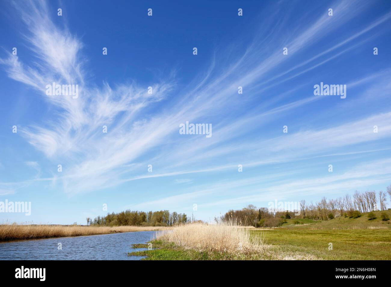 Le nuvole di Cirrus nel Parco Naturale del Paesaggio del Fiume Peene Valley, Meclemburgo-Pomerania Occidentale, Germania Foto Stock