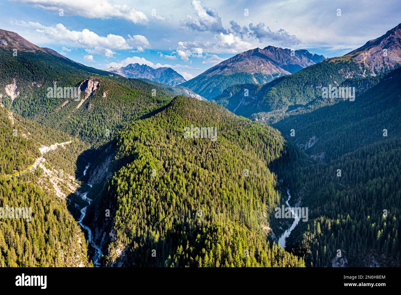 Parco Nazionale Svizzero, Zermez, Svizzera Foto Stock