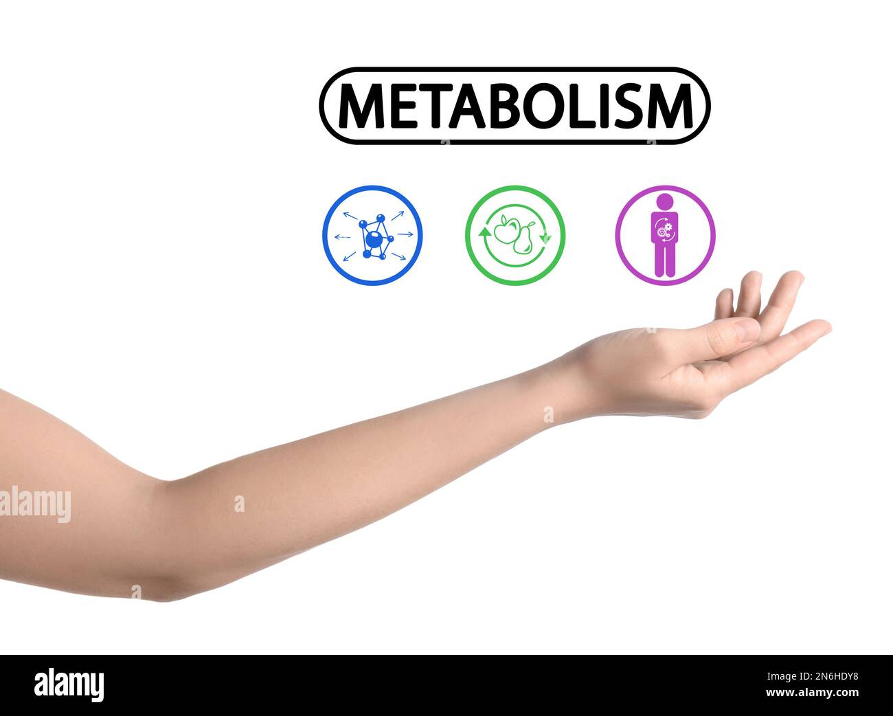 Concetto di metabolismo. Donna e icone su sfondo bianco, primo piano Foto Stock