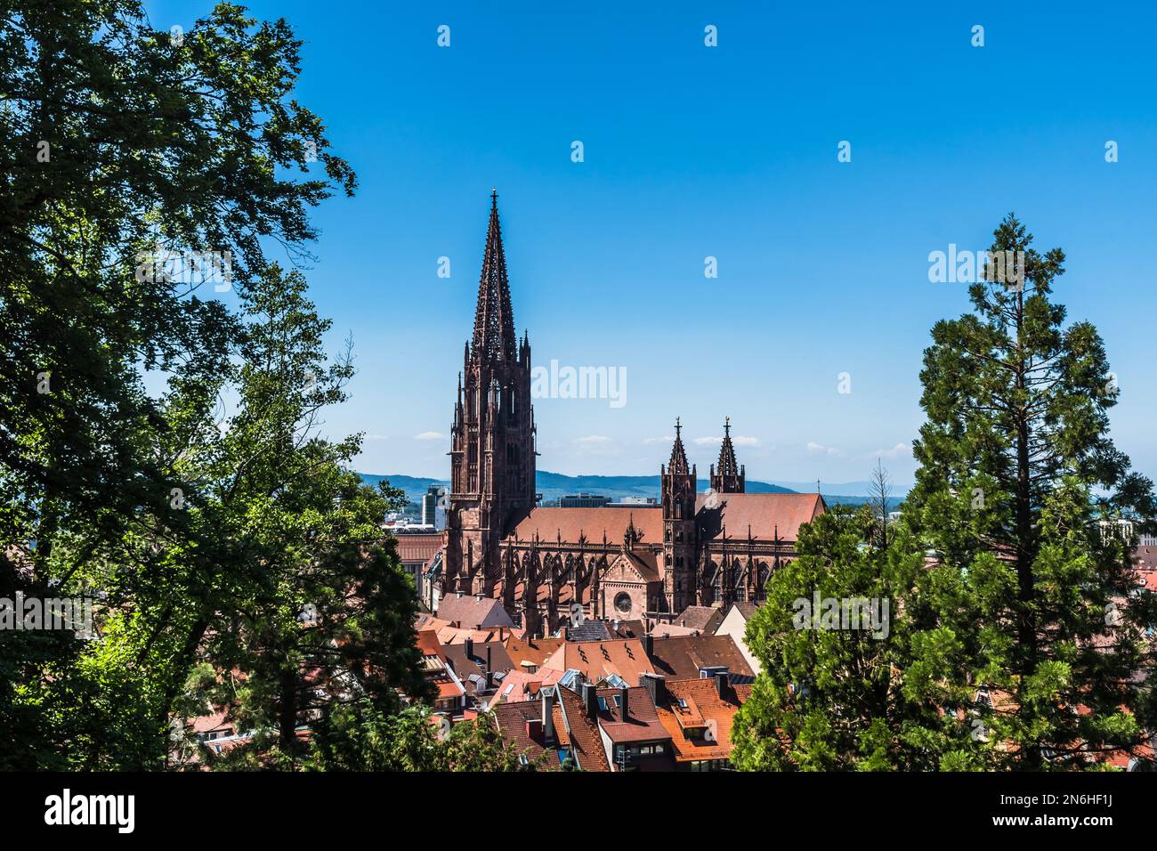 Vista sulla cattedrale di Friburgo in Breisgau (Freiburger Munster), Germania sud-occidentale. Spazio di copia. Foto Stock