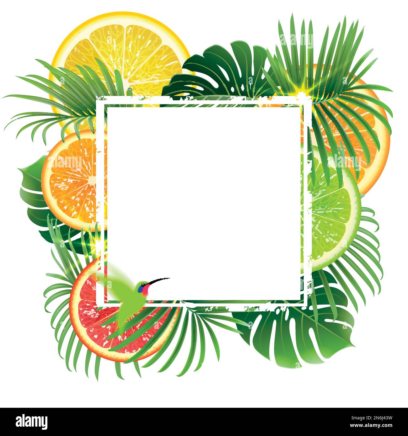 striscione bianco sullo sfondo di piante tropicali e agrumi con colibrì verde Illustrazione Vettoriale