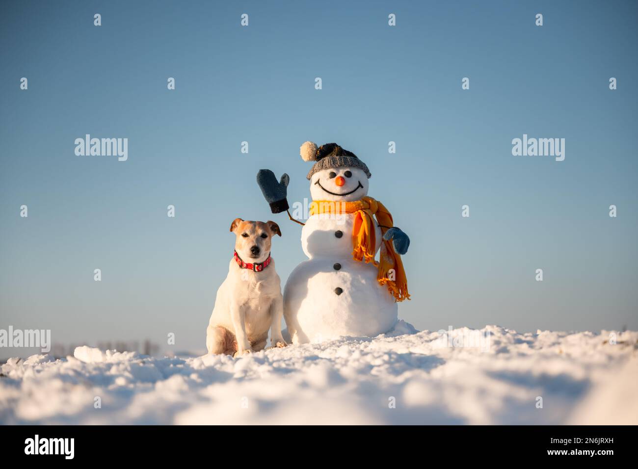 Simpatico pupazzo di neve in cappello lavorato a maglia e cuoio capelluto giallo con cagnolino russel terrier su campo innevato. Cielo blu sullo sfondo Foto Stock