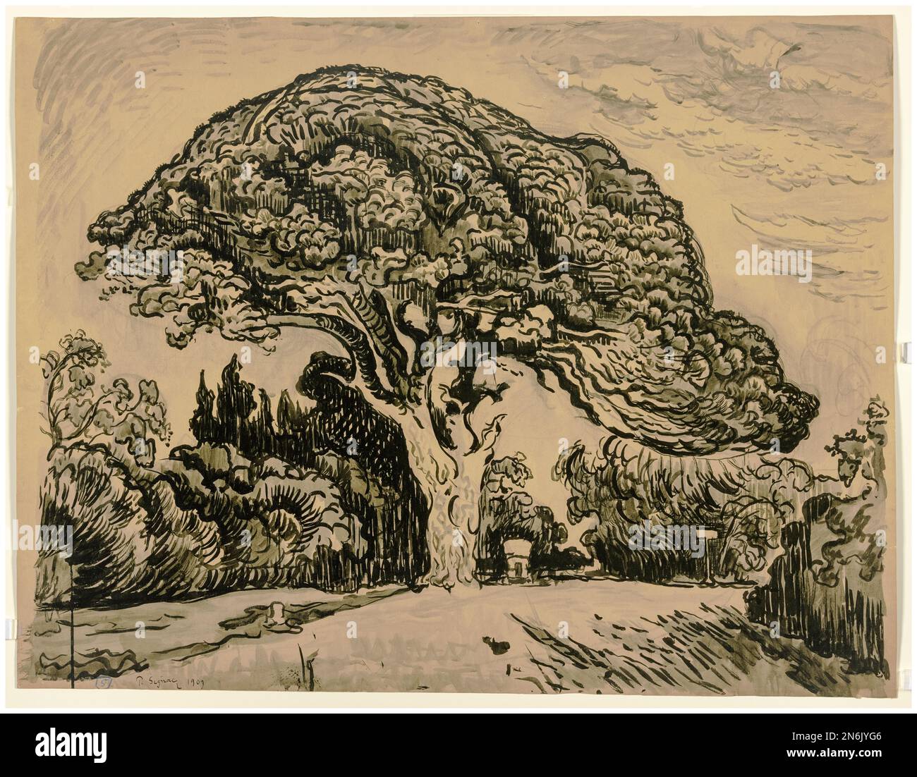 Paul Signac, le pin Bertaud (l'albero del pino Bertaud), disegno, 1909 Foto Stock