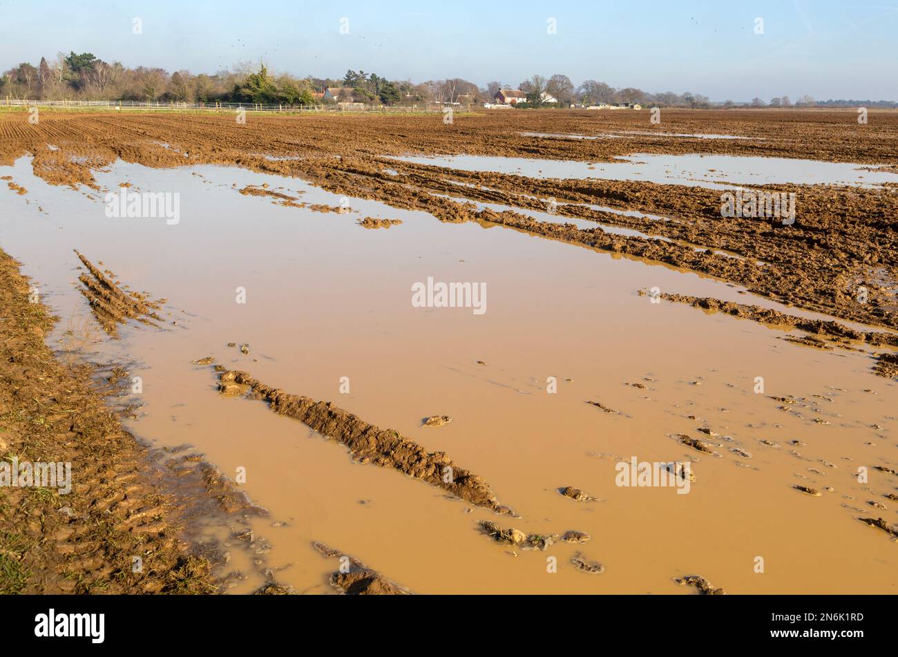 Le pozzanghere si formarono nel terreno saturo di Sandlings, Shottisham Suffolk, Inghilterra, Regno Unito Foto Stock