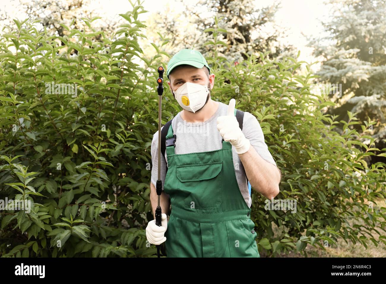 Lavoratore con insetticida spruzzatore vicino cespuglio verde all'aperto.  Controllo di peste Foto stock - Alamy