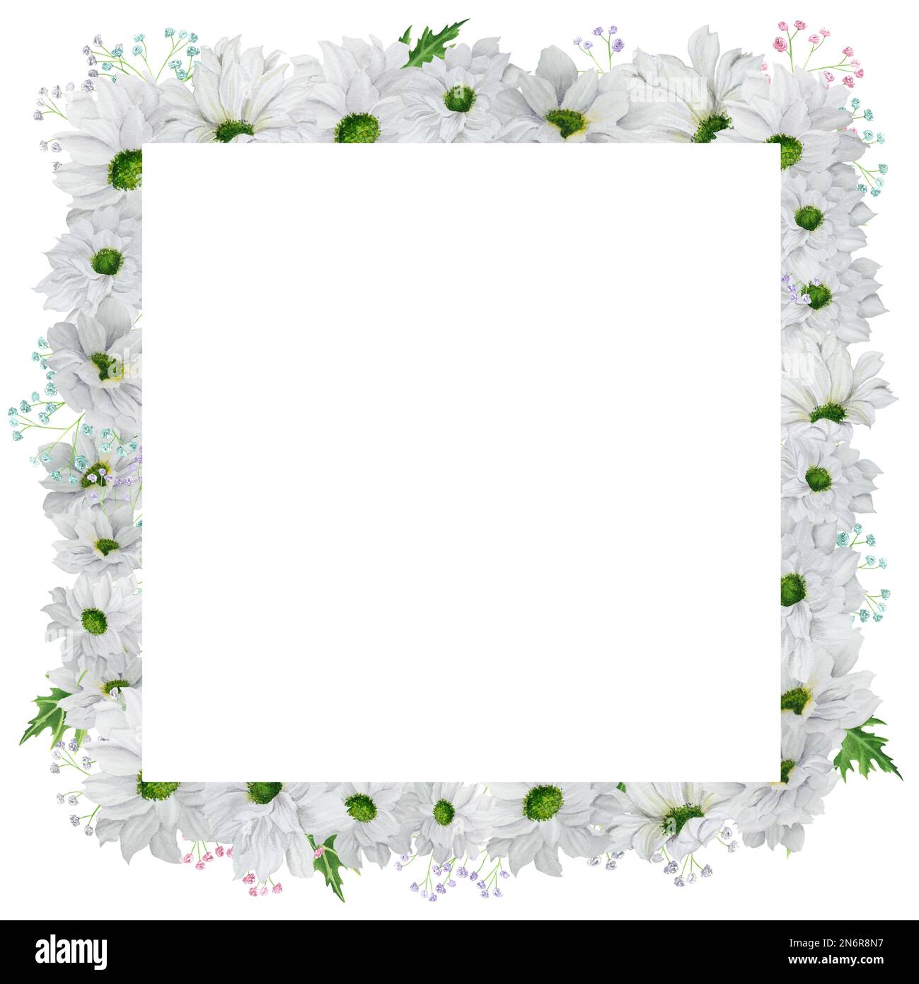 Cornice quadrata acquerello disegnata a mano con crisantemo bianco con gypsofila colorata. Una piccola parte del set DI FIORI Big Foto Stock