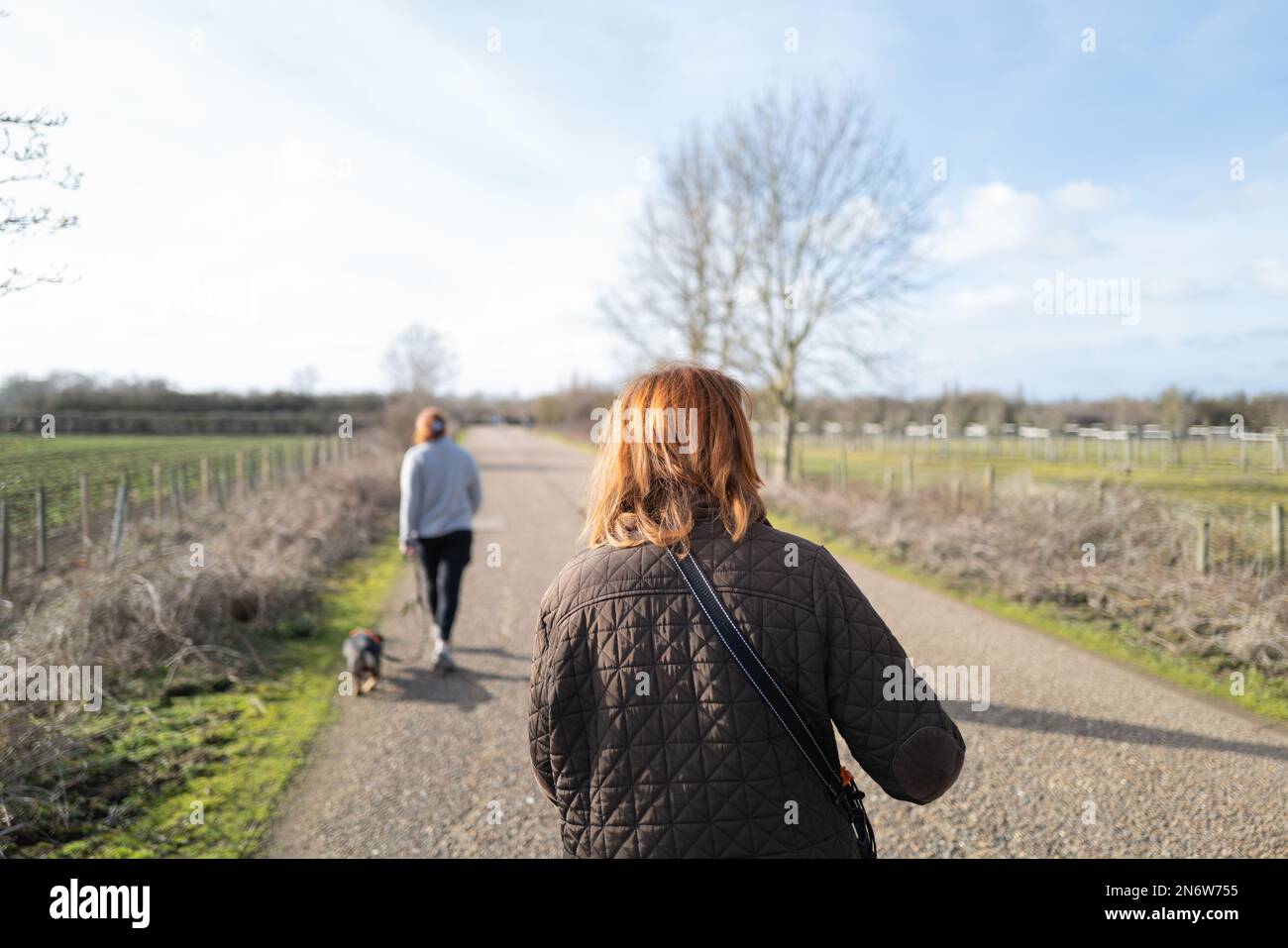 Fuoco poco profondo di una donna visto camminare lungo una corsia di campagna. Di fronte una persona può essere visto camminare un piccolo cane in una zona rurale. Foto Stock