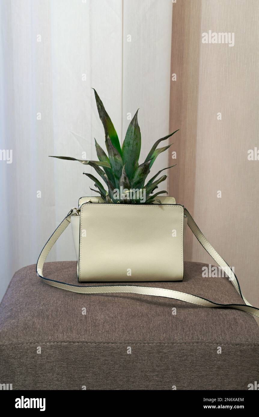 foglie di ananas che fuoriescono dalla borsa donna in pelle bianca Foto Stock