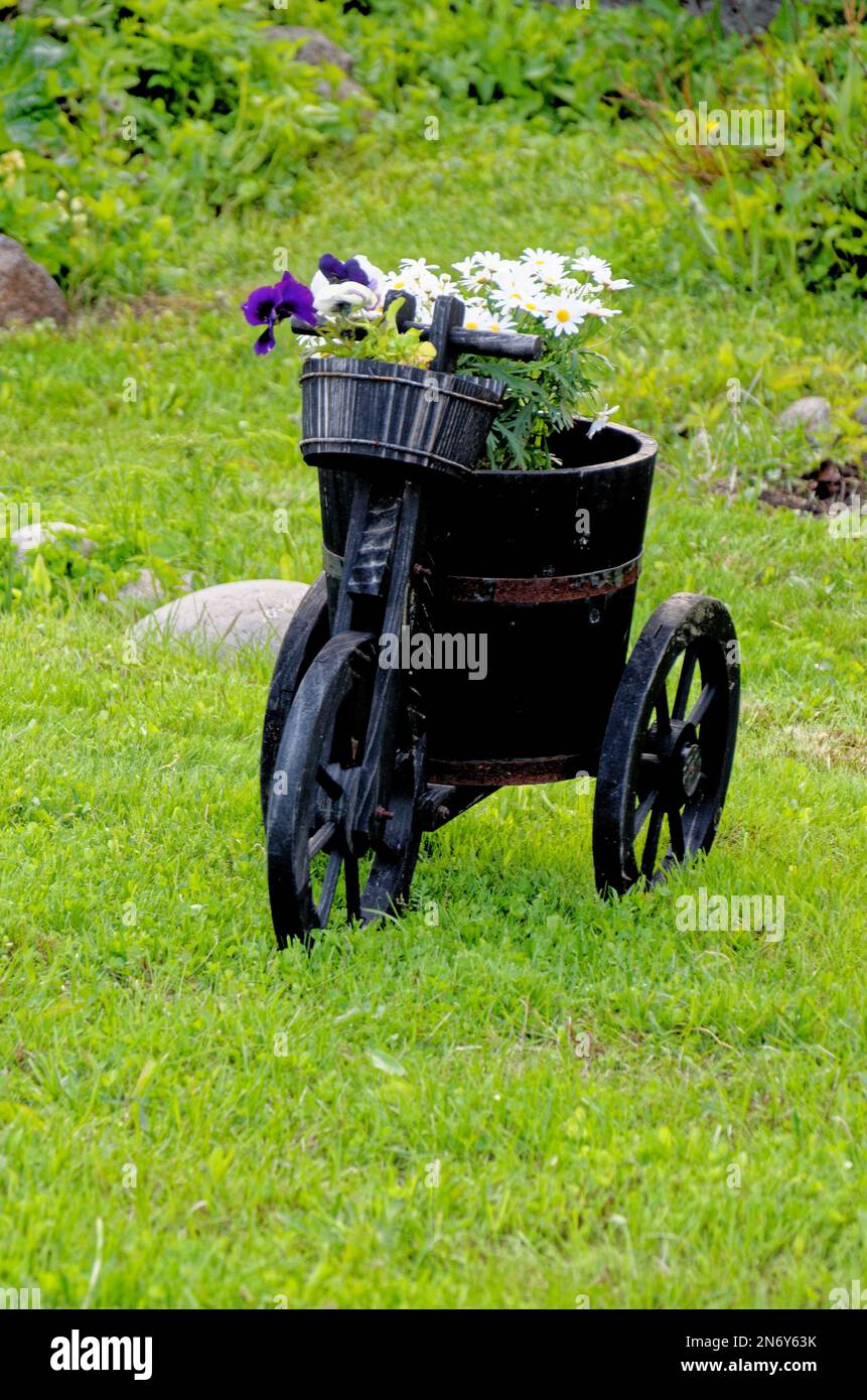 Pentola rustico giardino in villaggio rurale - idee giardino e piccolo giardino design Foto Stock