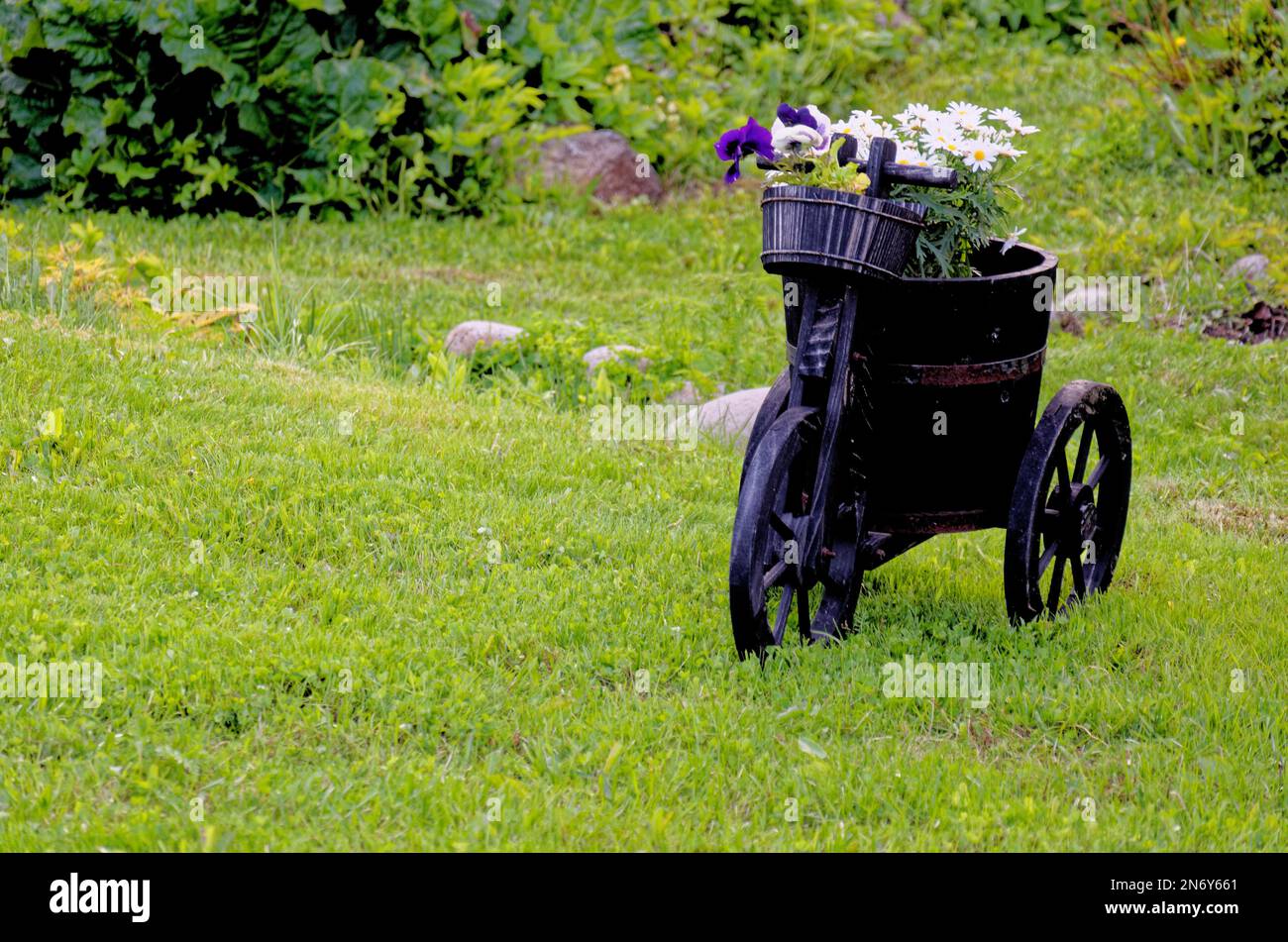 Pentola rustico giardino in villaggio rurale - idee giardino e piccolo giardino design Foto Stock