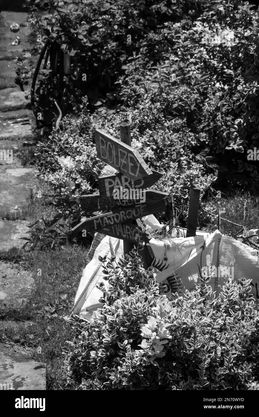 Fiori in un giardino francese, molto di colore estivo Foto Stock