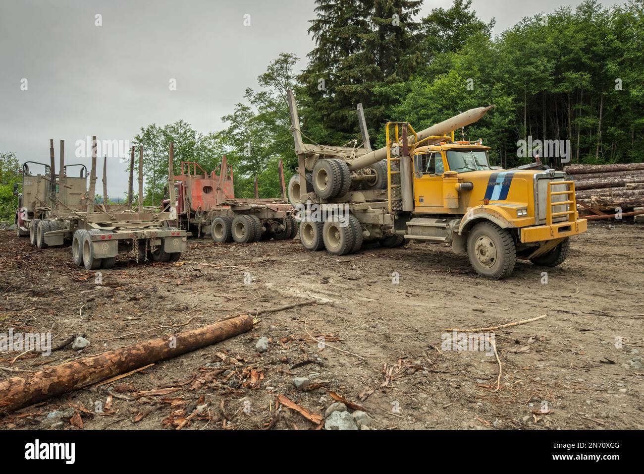 Autocarri da disboscamento, cantiere di smistamento, Alliford Bay, Moresby Island, Haida Gwaii, Columbia Britannica Foto Stock