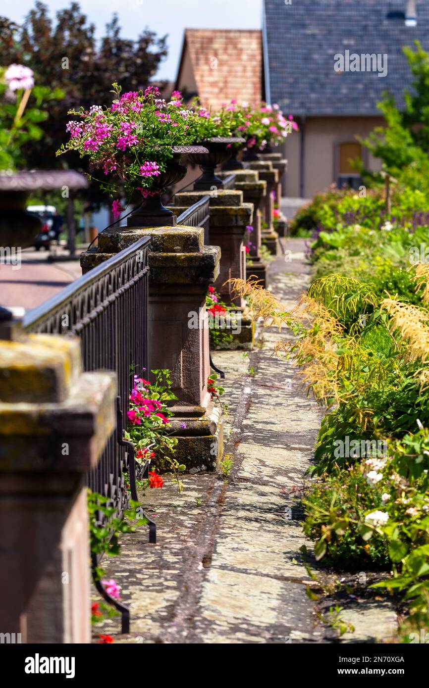 Fiori in un giardino francese, molto di colore estivo Foto Stock