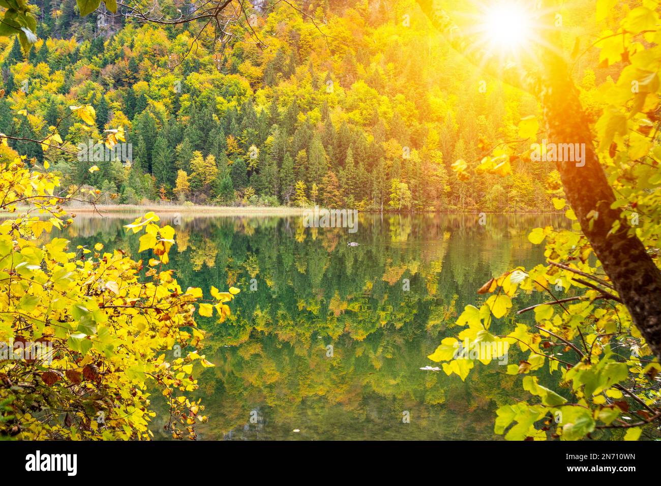 paesaggio panoramico con lago e foresta in autunno Foto Stock