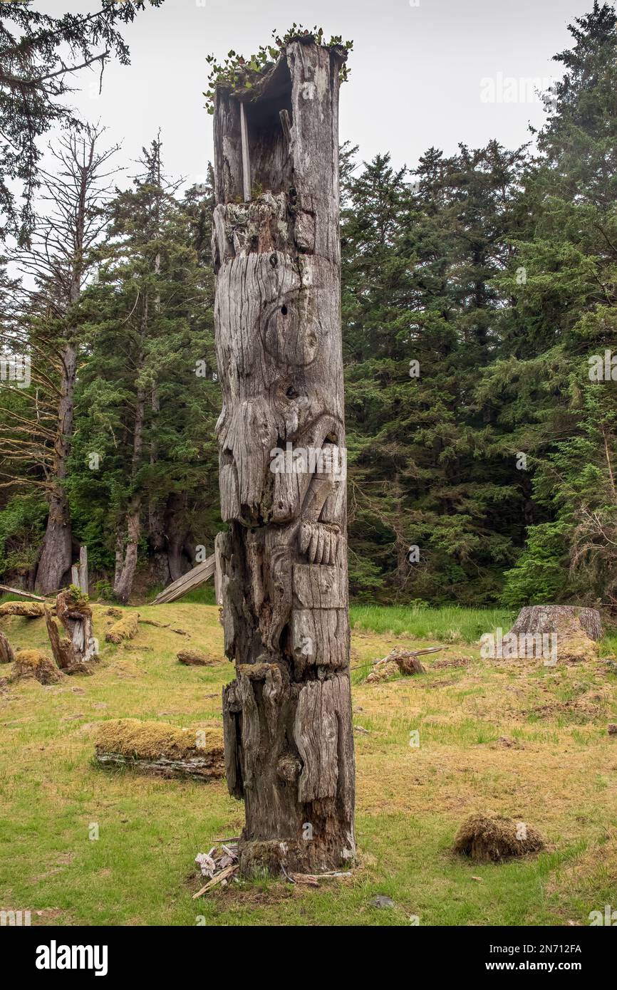 Asta mortuaria con cavità sepolcrale intatta in cima, S'Gaang Gwaii, Haida Gwaii, BC Foto Stock