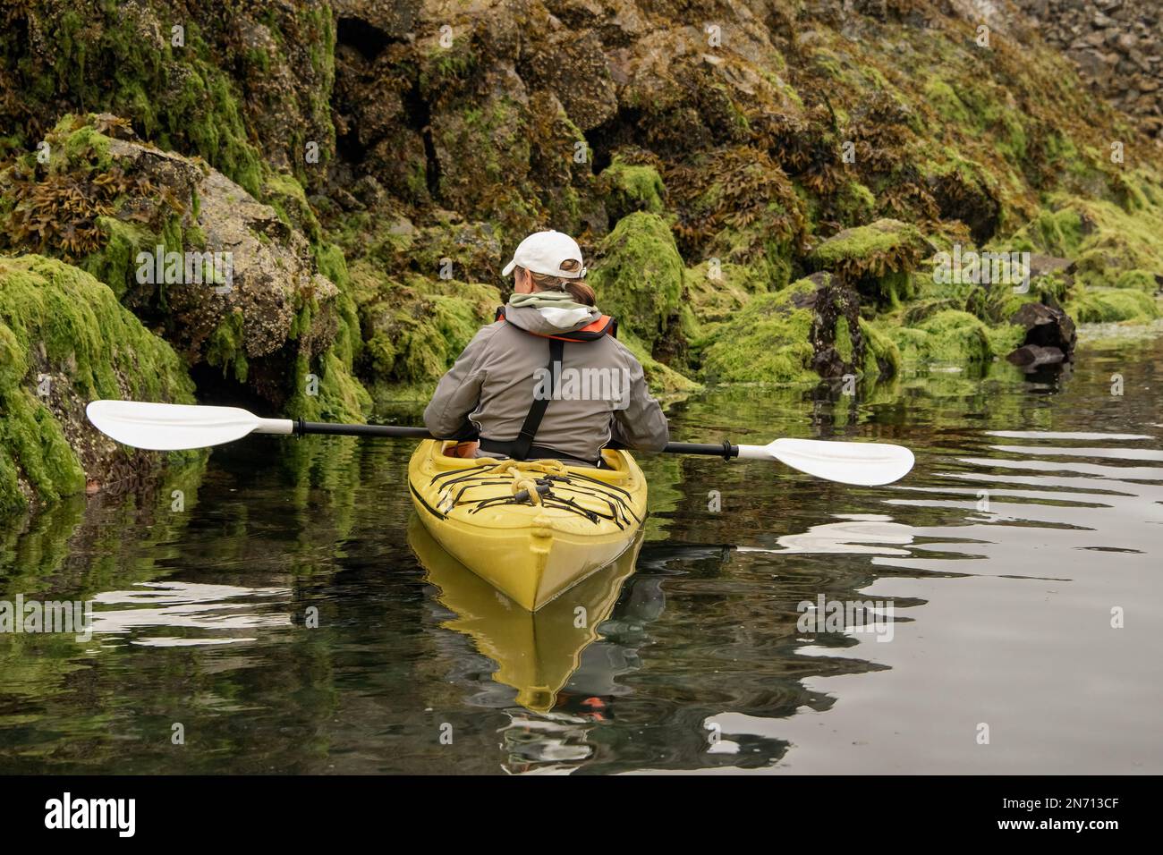 Kayak esplorando la zona intertidale con la bassa marea, Isole Bischof, Juan Perez Sound, Haida Gwaii Foto Stock
