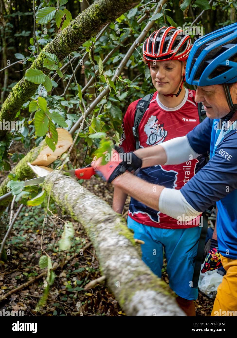 E-mountain biker nel Grengewald (Grünewald) vicino a Luxembourg City rimuovendo un albero che è caduto attraverso il percorso. Foto Stock