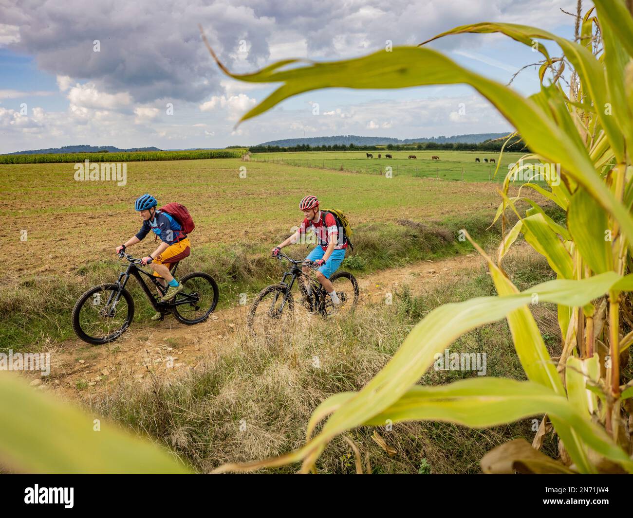 E-mountain biker su una strada sterrata vicino Bourglinster, Lussemburgo Foto Stock