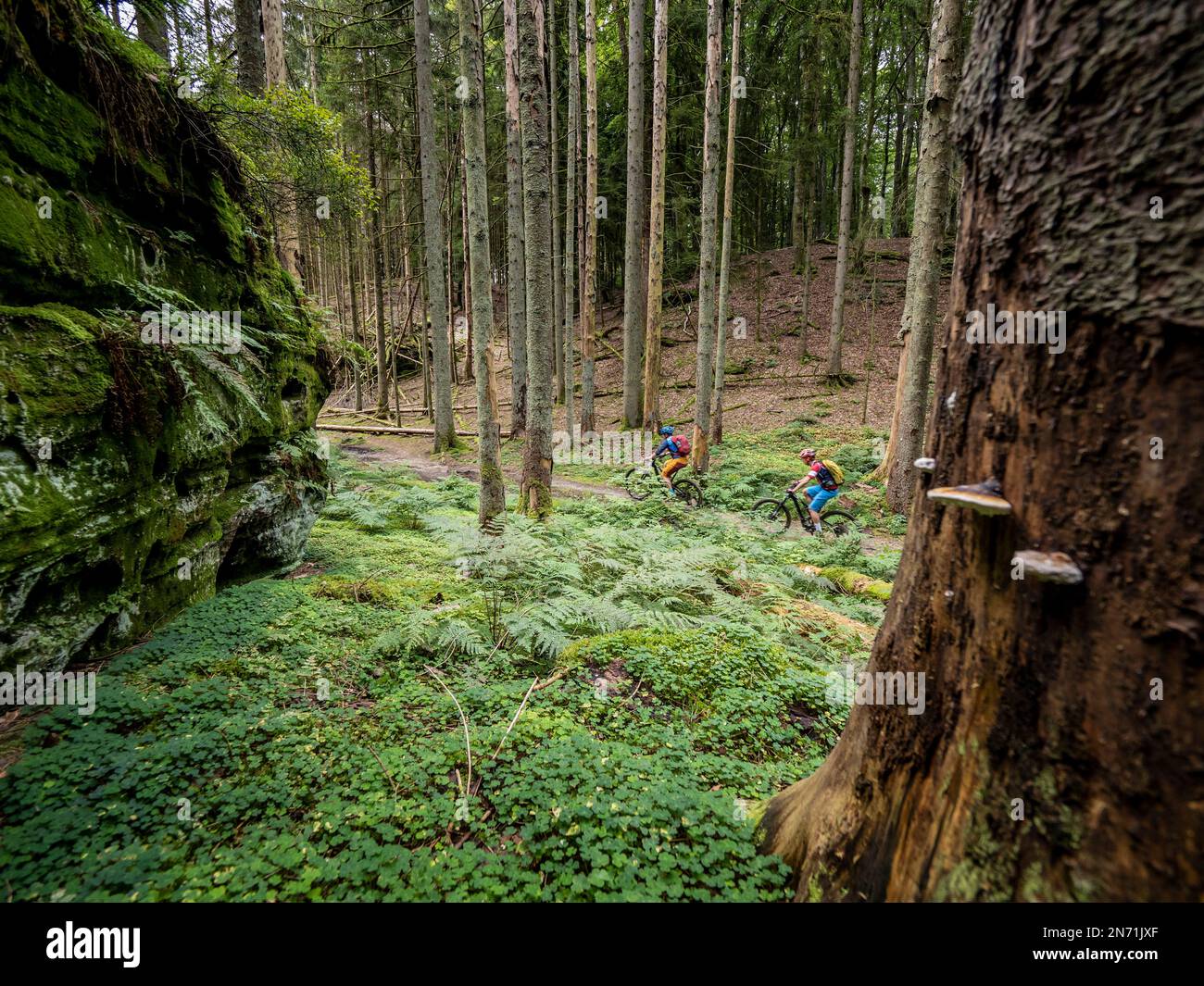 E-mountain biker su un unico sentiero nella Valle di Müller. Il Müllerthal è caratterizzato da rocce arenaria erose, che indicano un mare passato. La regione è chiamata anche "piccola Svizzera del Lussemburgo". Foto Stock