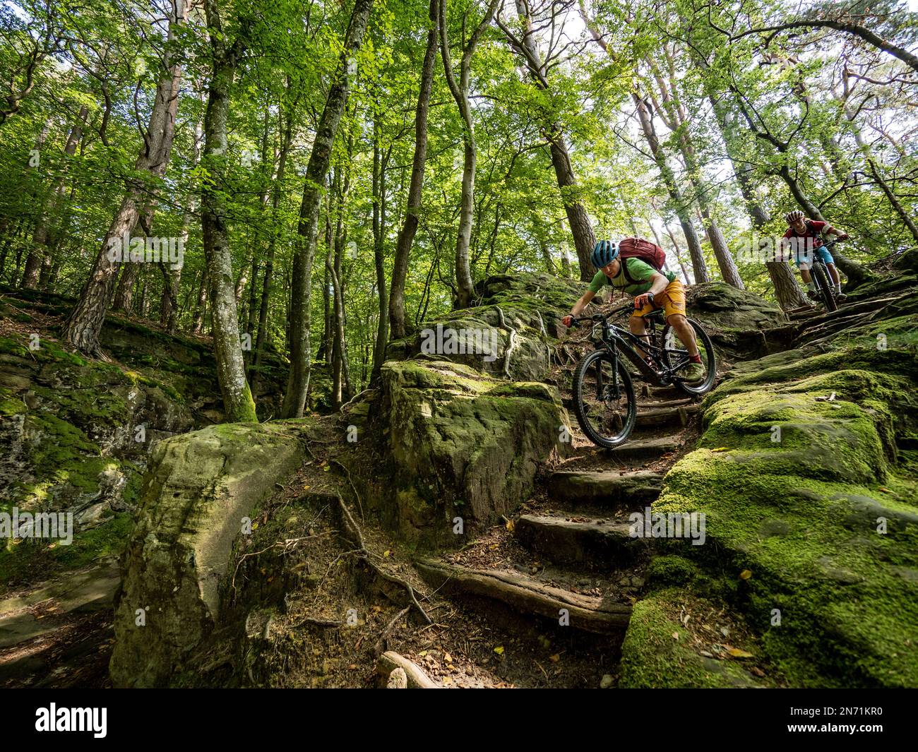 E-mountain biker su sentiero unico nel Mullerthal vicino Berdorf. Tipico per i sentieri naturalistici del Mullerthal: scale, scale, scale. Una breve sezione qui conduce anche sopra il sentiero escursionistico 'Mullerthal Trail' - estrema considerazione per gli escursionisti è richiesta qui! Qui sulla strada per il 'Schnellert', una discesa che fa parte di un sentiero ufficiale MTB, che prende il nome dalla riserva naturale forestale con lo stesso nome 'Schnellert' (145 ha). Foto Stock