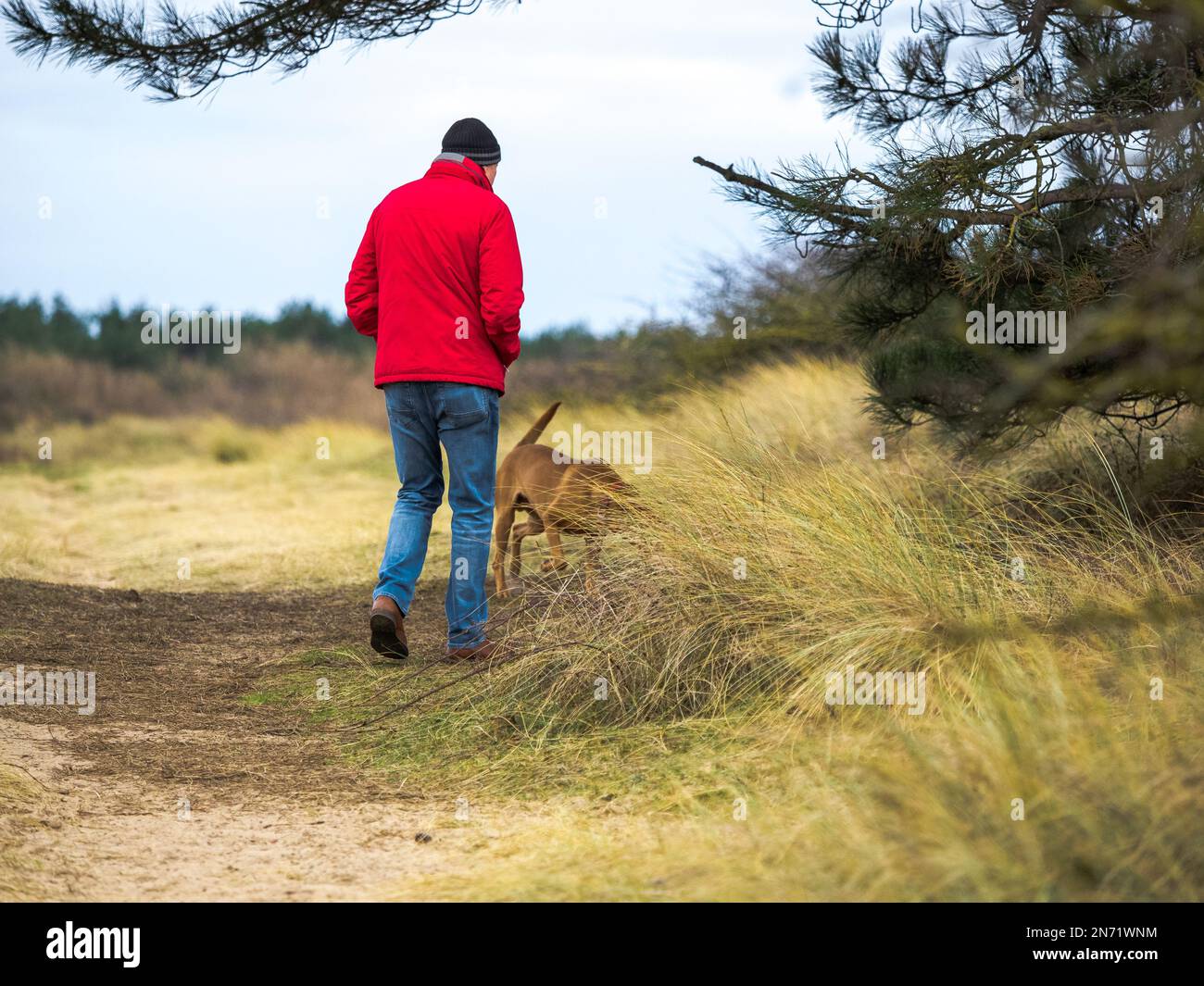 Lone uomo e cane in una passeggiata mattutina lungo il sentiero uomo indossa cappotto rosso brillante e jeans blu e cappello nero lanoso Foto Stock
