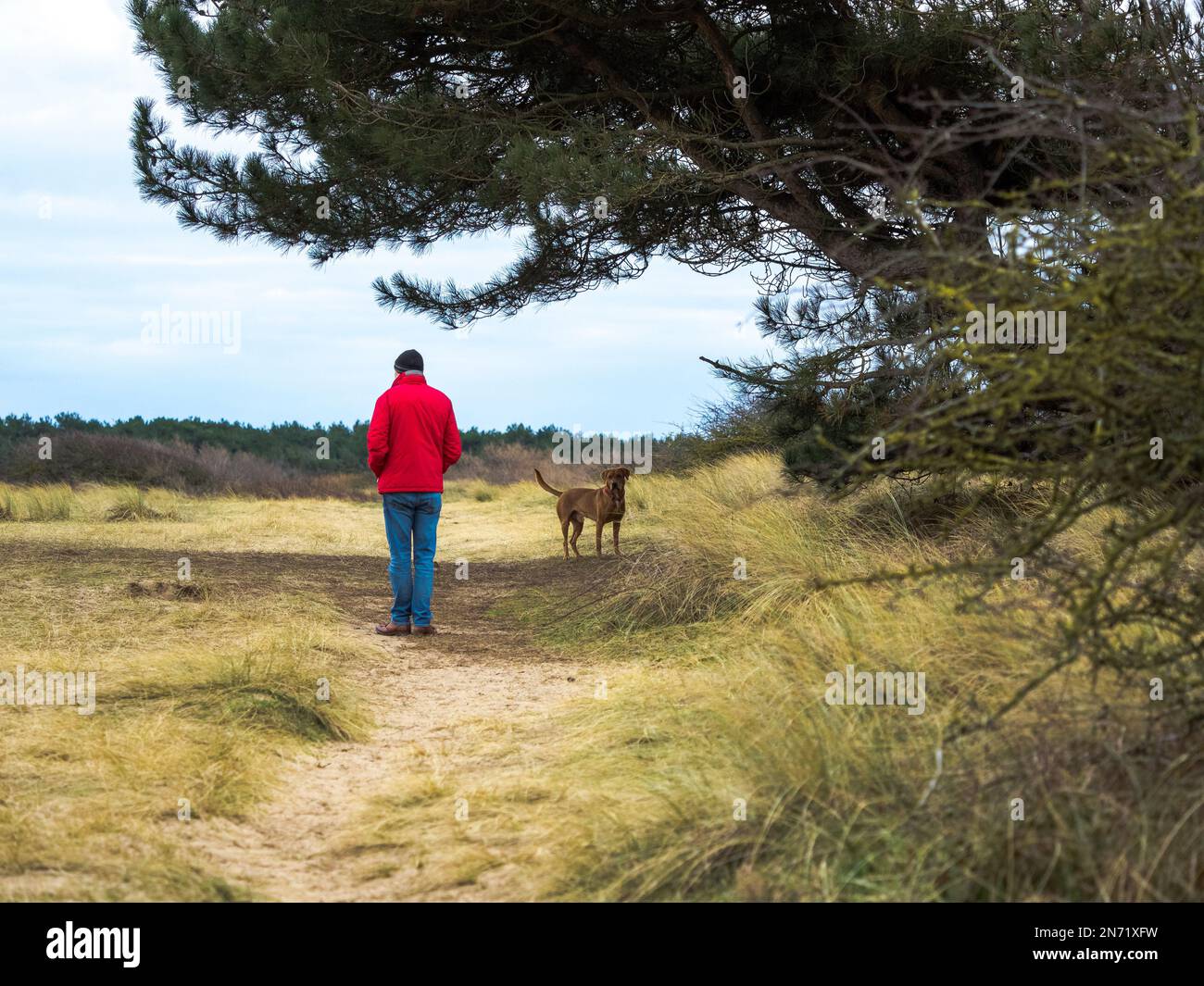 Lone uomo e cane in una passeggiata mattutina lungo il sentiero sabbioso uomo indossa cappotto rosso brillante e jeans blu e cappello nero lanoso Foto Stock