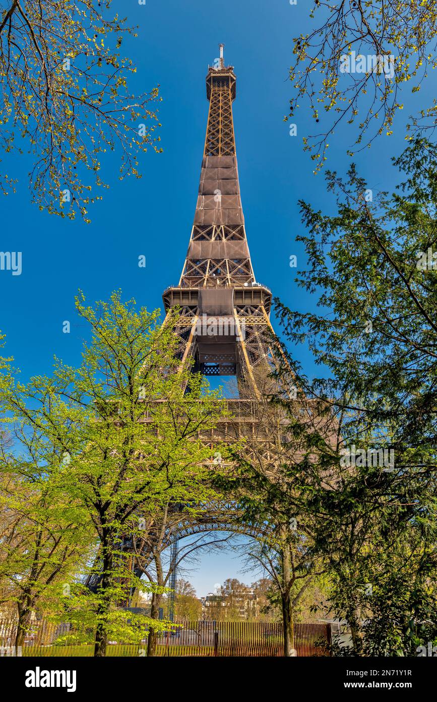 Torre Eiffel, Parigi, Francia Foto Stock