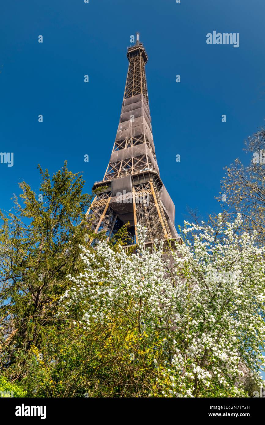 Torre Eiffel, Parigi, Francia Foto Stock