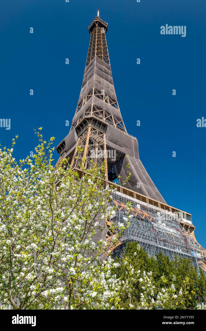 Torre Eiffel, Parigi, Francia Foto Stock
