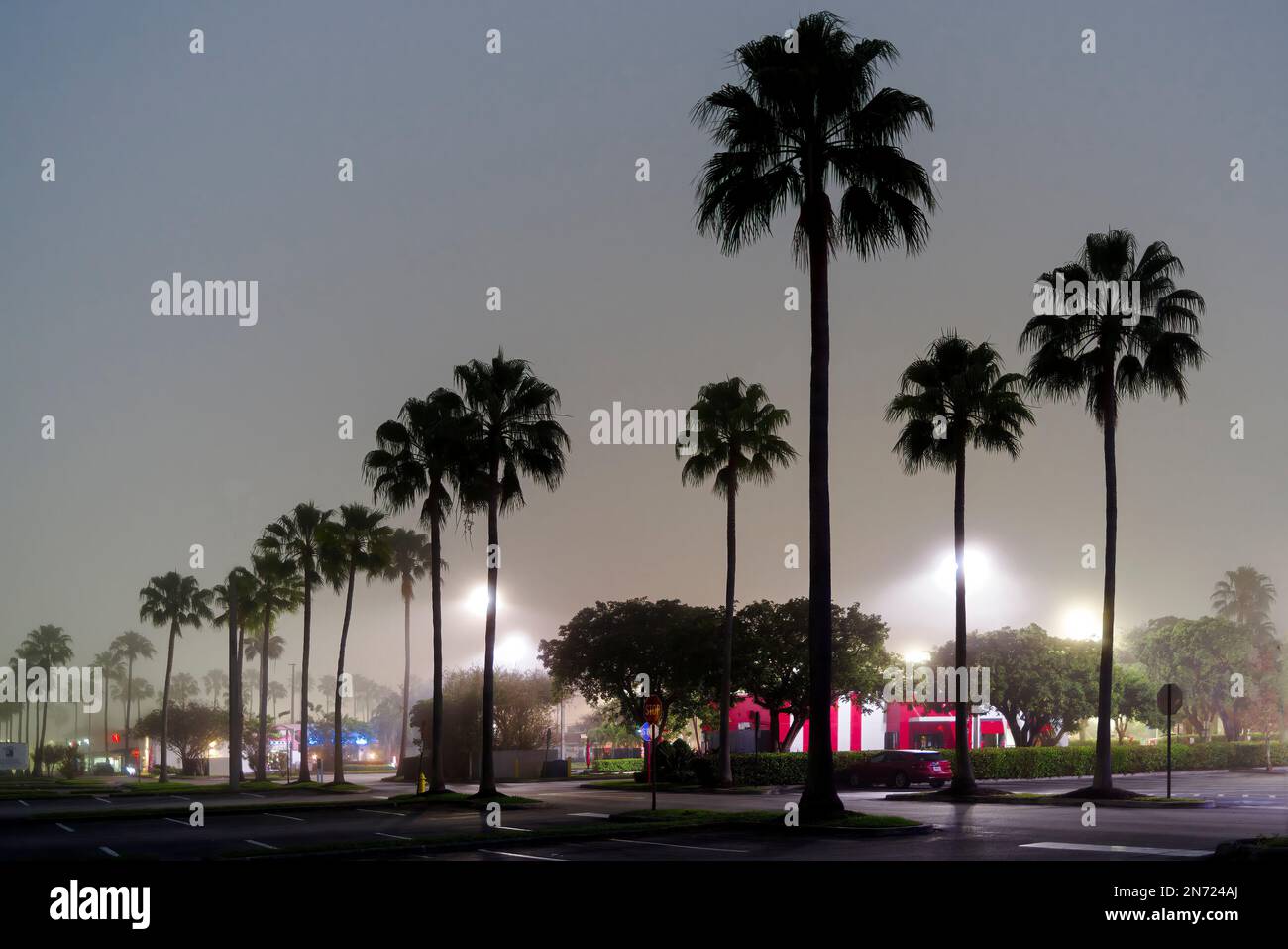 Mattina di nebbia a Kendale Lakes, Miami, Florida, Stati Uniti Foto Stock