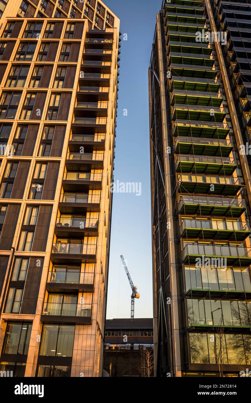 Edifici residenziali a torre su Albert Embankment, Vauxhall, Londra, Inghilterra, Regno Unito Foto Stock