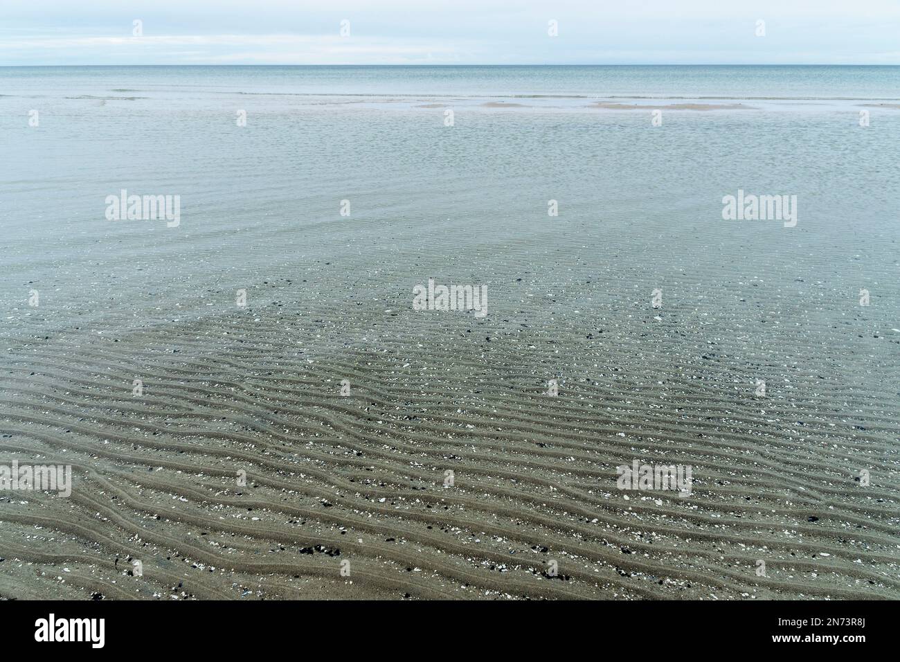 Costa del Mar Baltico vicino a Prerow, acque poco profonde con superficie liscia, struttura ondulata di sabbia, vista tranquilla all'orizzonte Foto Stock