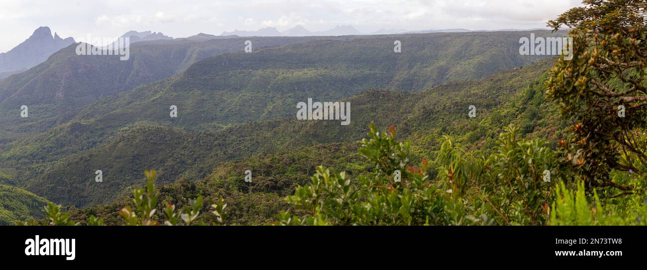 Vista panoramica del Black River Gorges National Park, Gorges Viewpoint a Mauritius. Si estende su un'area di 67,54 km che comprende una foresta umida di altopiano, una foresta di pianura più secca e un'brughiera paludosa. Foto Stock