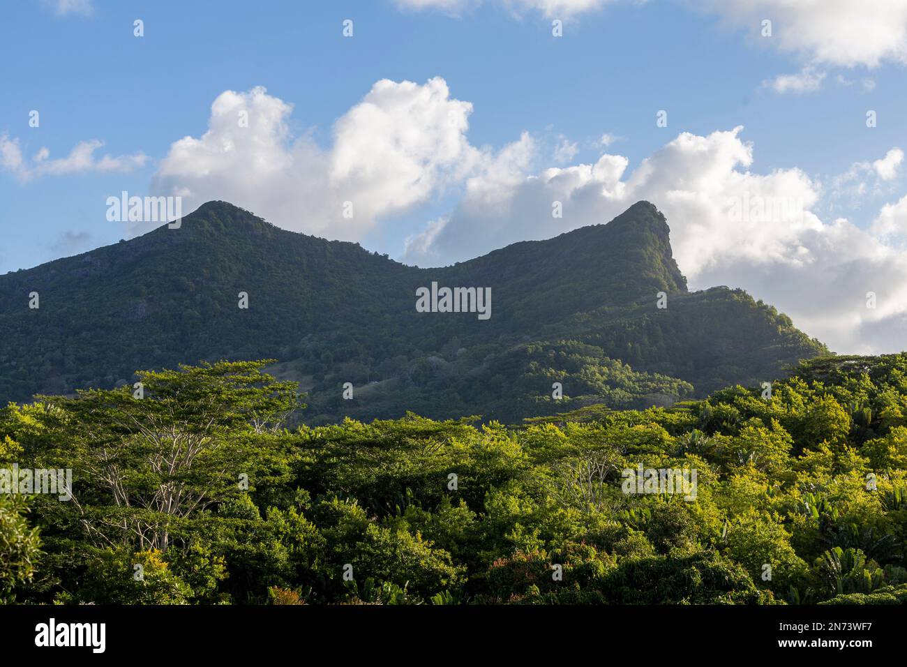 Montagne e alberi e un cielo blu con nuvole a Mauritius, Africa Foto Stock
