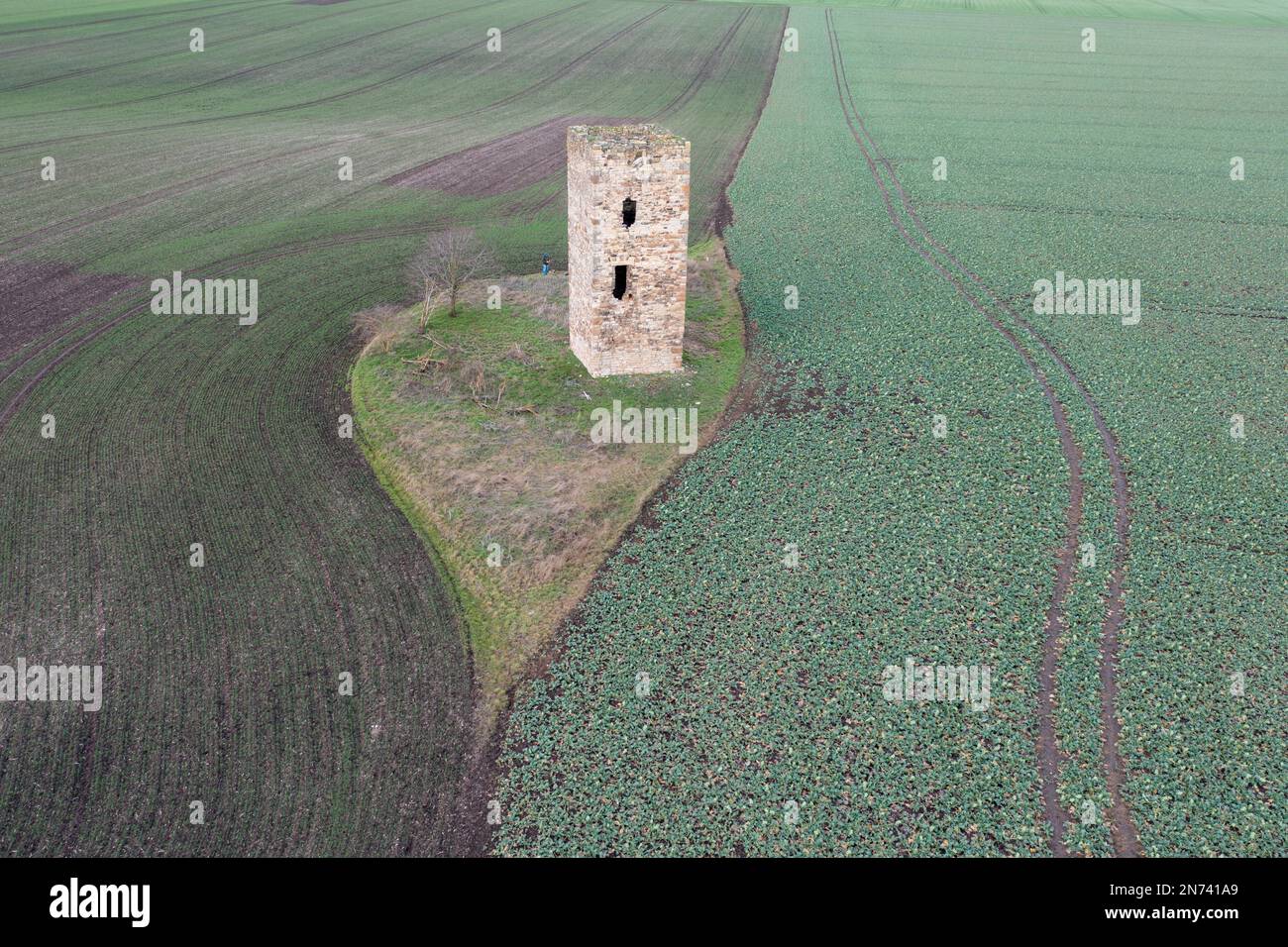 Torre di guardia medievale, Blaue Warte, Magdeburger Börde, Sassonia-Anhalt, Germania Foto Stock