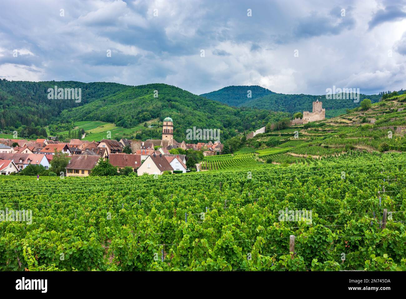 Kaysersberg, ex Municipio, vigneto, Castello di Kaysersberg in Alsazia (Elsass), Alto Reno (Oberelsass), Francia Foto Stock