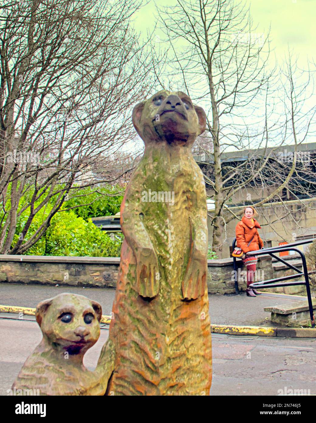 Statue in legno intagliato meerkat Edinburgh zoo Foto Stock