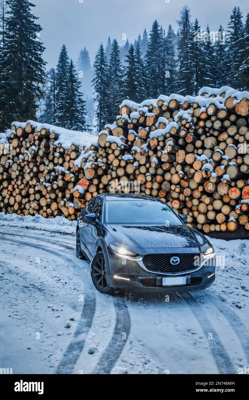 Italia, Veneto, Belluno, a Mazda Motor Corp CX-30 veicolo di servizio sportivo crossover (SUV) in inverno parcheggiato vicino ad un mucchio di tronchi di abete nelle Dolomiti Foto Stock