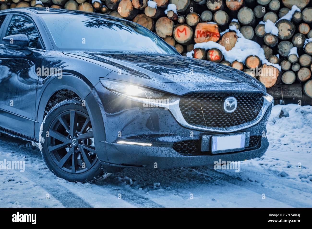 Italia, Veneto, Belluno, a Mazda Motor Corp CX-30 veicolo di servizio sportivo crossover (SUV) in inverno parcheggiato vicino ad un mucchio di tronchi di abete nelle Dolomiti Foto Stock