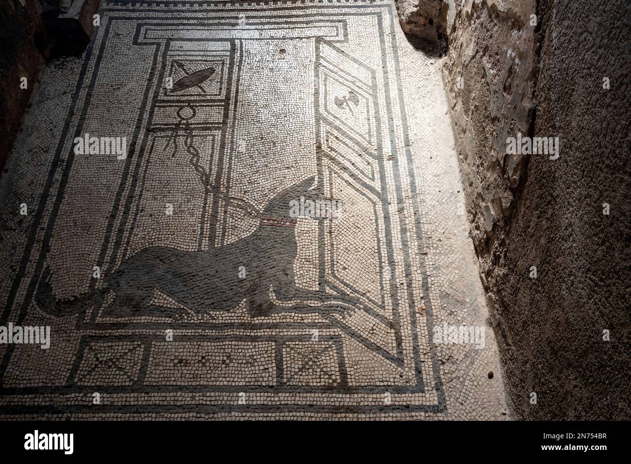 Pompei, Italia, Un cane di pietre a mosaico al pavimento che custodisce un'antica villa nelle rovine di Pompei, Italia meridionale Foto Stock