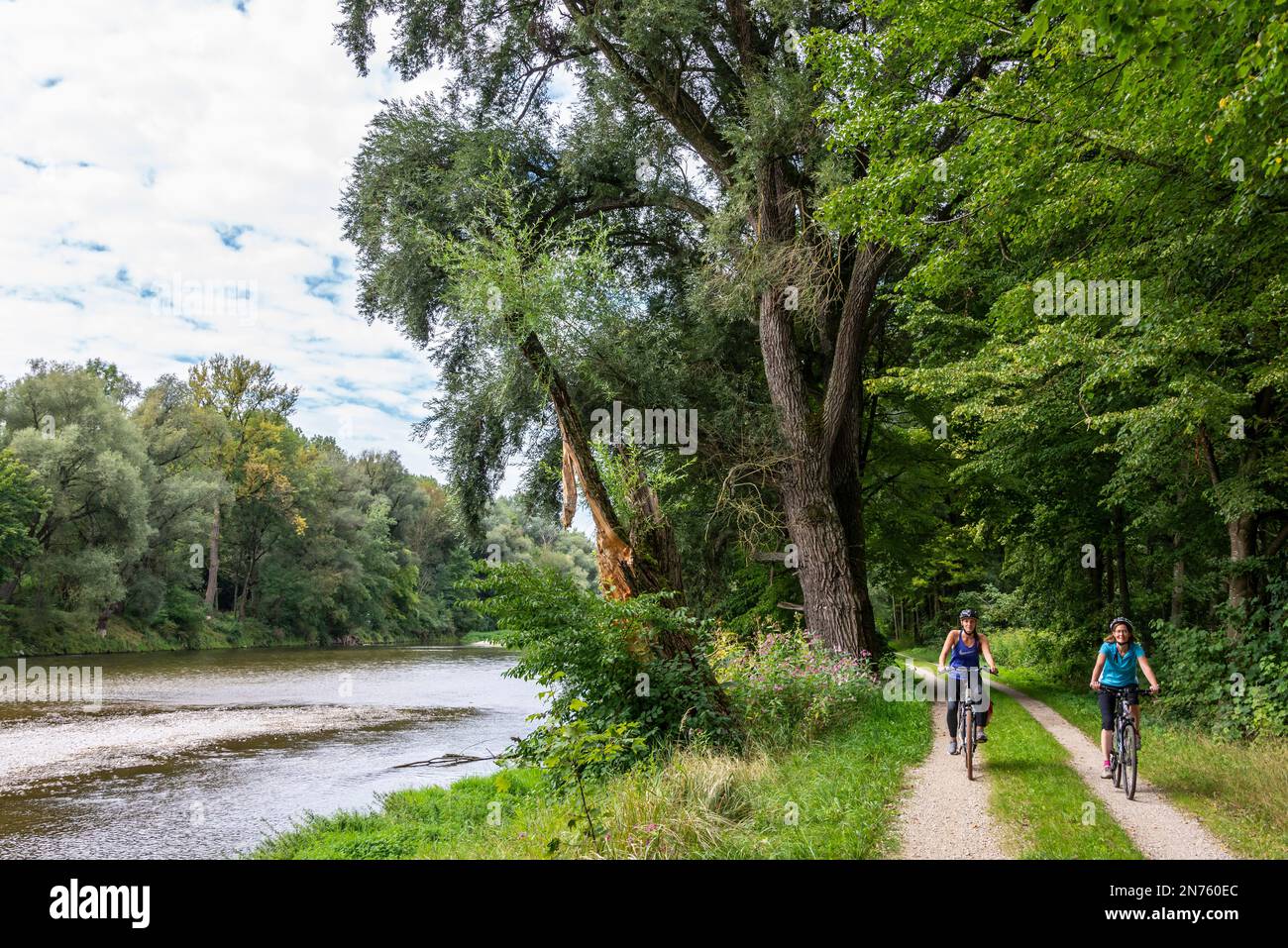 Germania, Baviera, pista ciclabile di Isar, tour ciclistico da Freising a Moosburg attraverso le pianure alluvionali di Isar Foto Stock