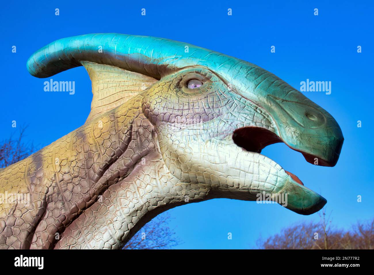 Modello animatronico Parasaurolophus dello spettacolo di dinosauri dello zoo di Edimburgo Hilltop Foto Stock