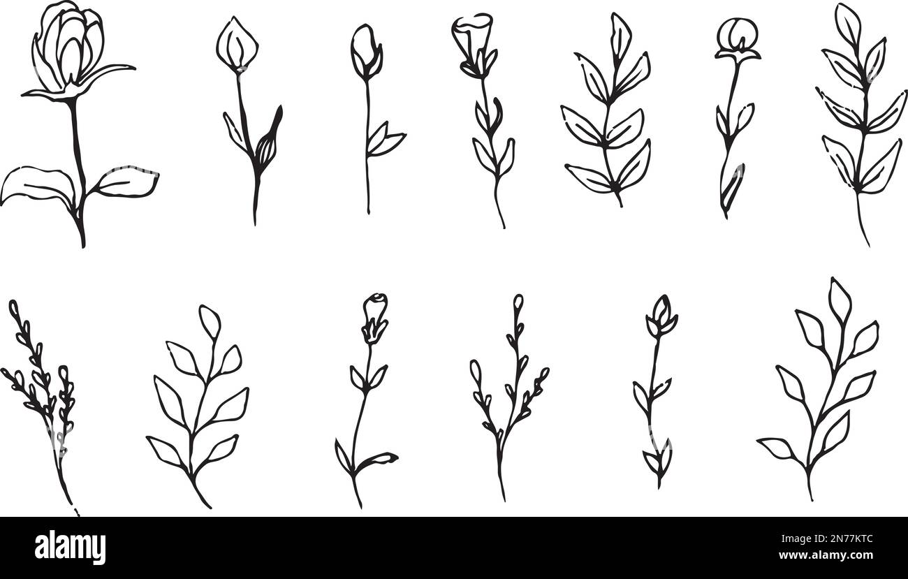 Insieme di piante fiorite e rami d'albero con germogli, foglie e bacche. Illustrazione botanica disegnata a mano. Immagine vettoriale in bianco e nero. Illustrazione Vettoriale