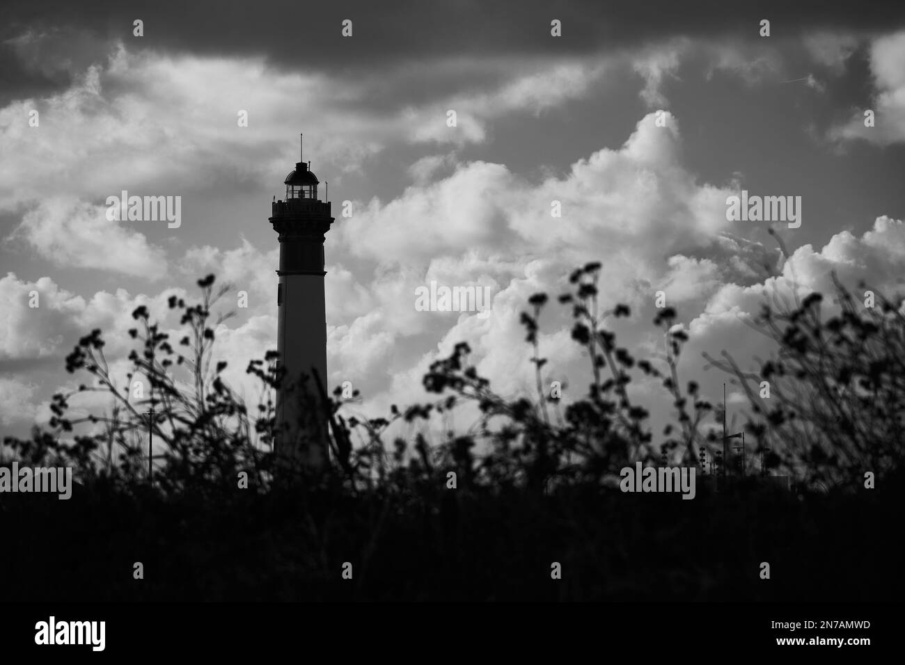 Una bella vista di un alto faro e cielo nuvoloso attraverso alcuni fiori Foto Stock