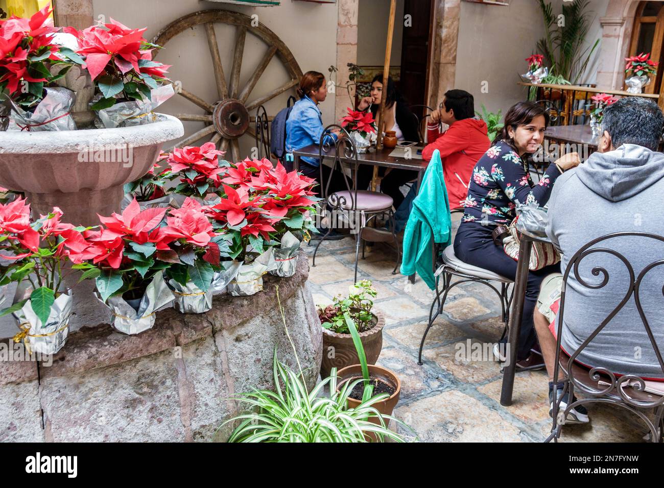 San Miguel de Allende Guanajuato Messico, Historico Centro storico zona Centro, Bugambilia Restaurante, tavoli sedie poinsettias, uomo uomo maschio, WO Foto Stock
