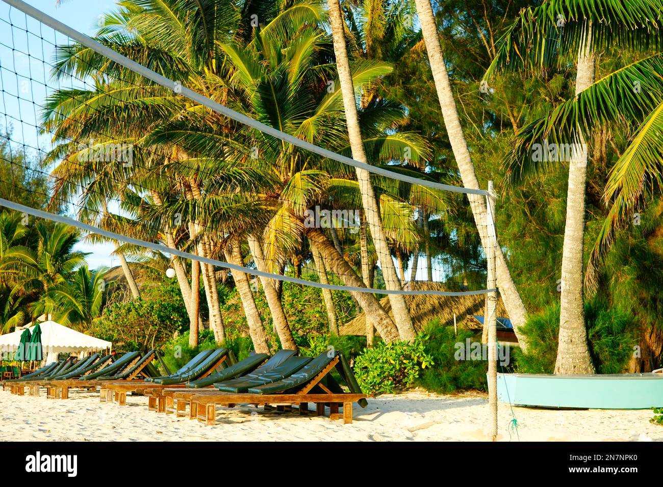 Lettini vuoti allineati su lunga spiaggia tropicale soleggiata Foto Stock Lettini vuoti allineati su lunga spiaggia tropicale soleggiata Foto Stock