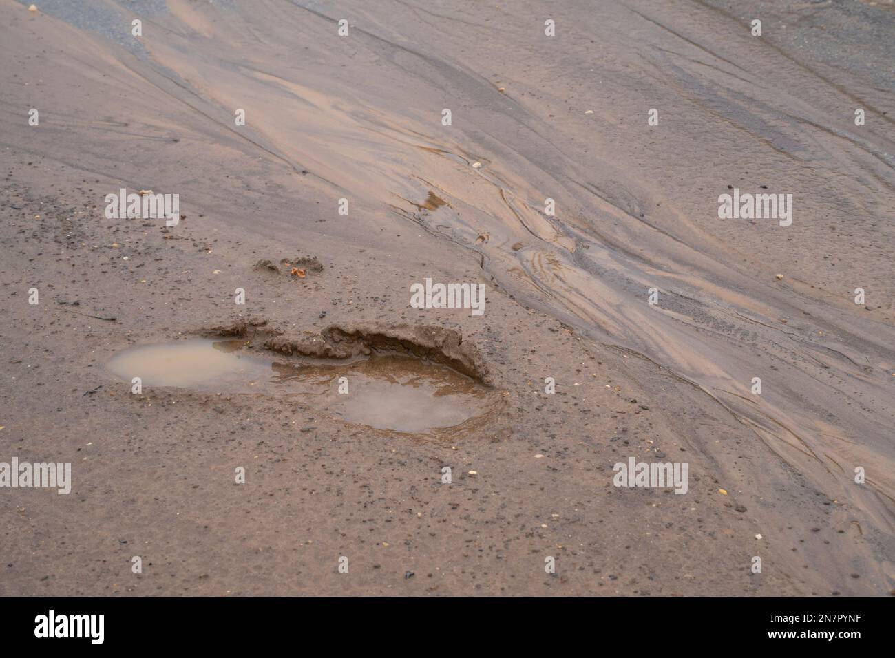 Un footprint in fango profondo che copre una strada dopo una pioggia invernale. Foto Stock